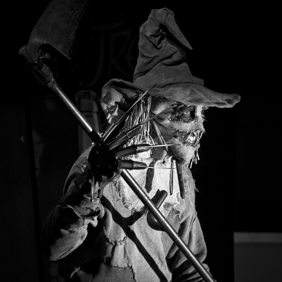 Scarecrow (L'Epouvantail) from Batman - Cosplay facts 2010 - Photo : Gilderic