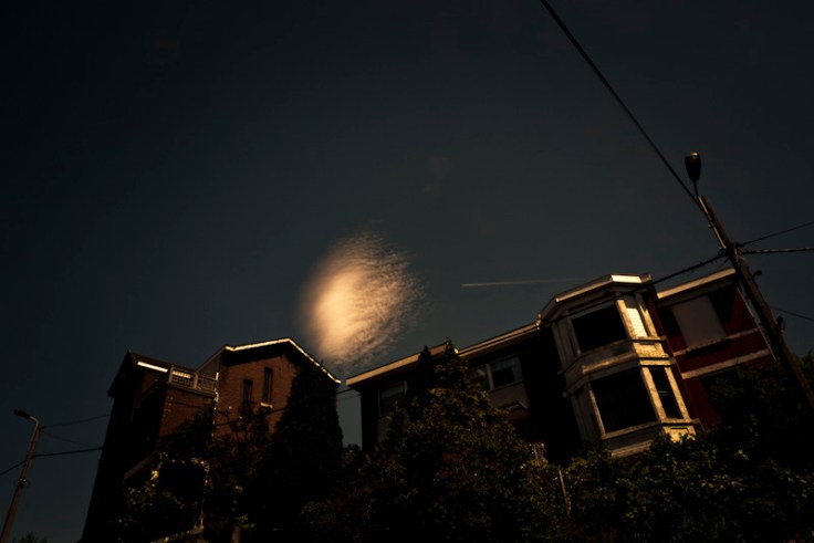 Fécondation in Cielo (Grivegnée, Belgique) - Photo : Glderic Fécondation in Cielo (Grivegnée, Belgique) - Photo : Glderic