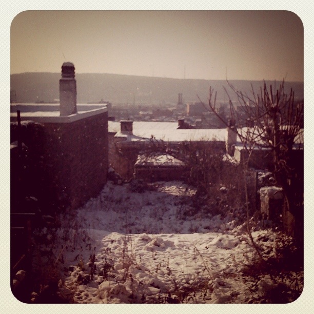 Jardin sous la neige (Earlybird processing Instagram) - Photo : Gilderic