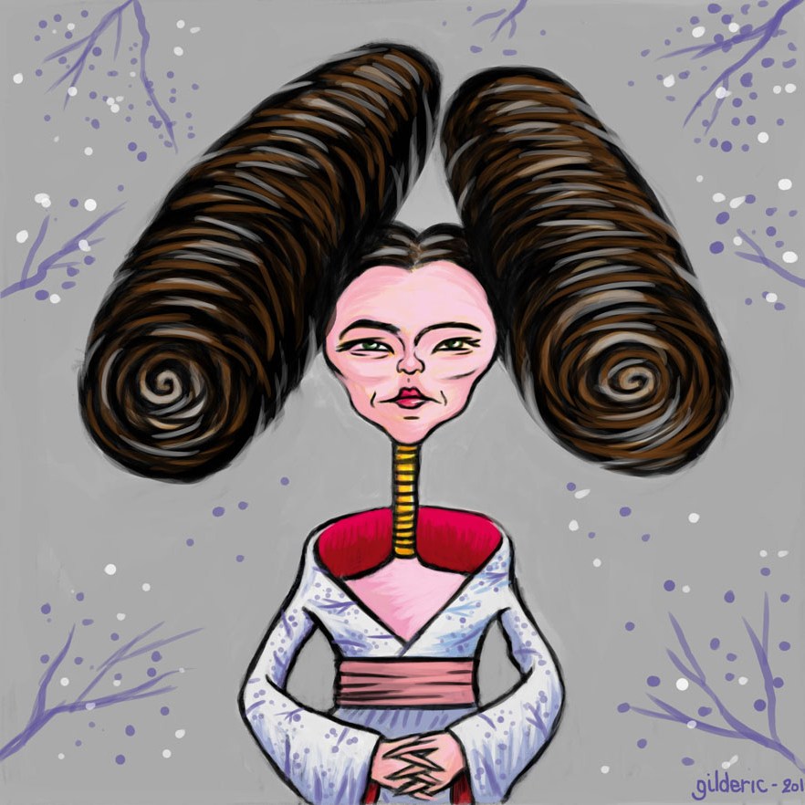 Pop Icons : Bjork (Illustration : Gilderic)