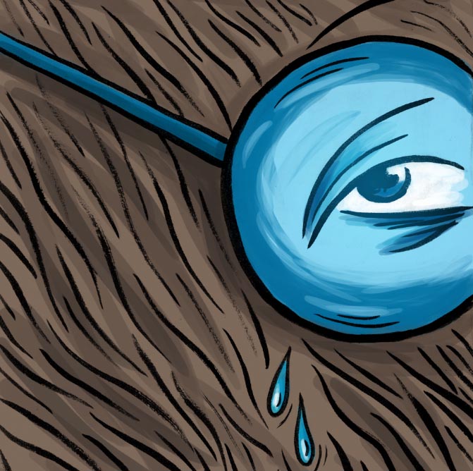 Taupe Chef, épisode 5 (détail) - une bd de Gilderic