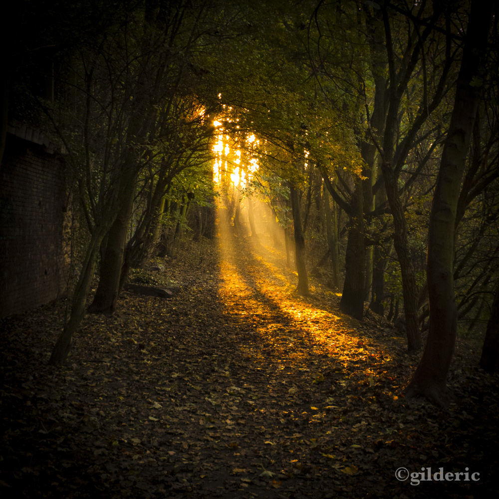 Autumn Fantasy : Autumn Magic (Photo : Gilderic)