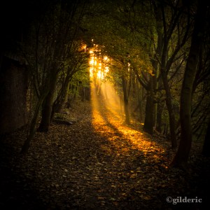 Autumn Fantasy : Autumn Magic (Photo : Gilderic)