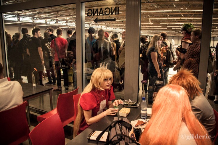 FACTS 2013 - Cosplay Manga - Photo : Gilderic