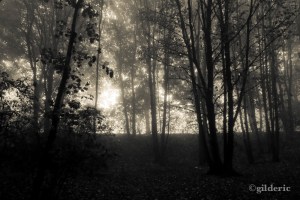 Belgium Witch Project (Liège, Belgique) - Photo : Gilderic