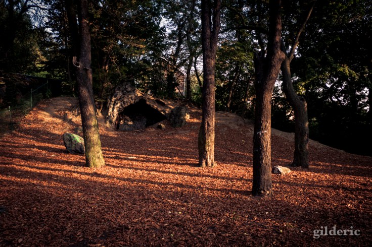 La Grotte - Bois des Oblats - Photo : Gilderic