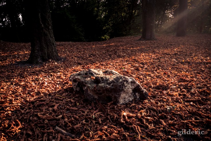 La pierre - Bois des Oblats - Photo : Gilderic