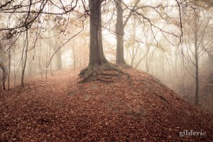 Autumn Fantasy : Misty Sunday - Photo : Gilderic