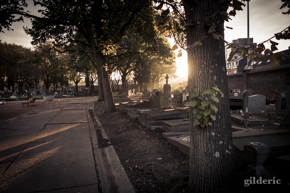 Autumn Fantasy - Cimetière de Robermont - Photo : Gilderic