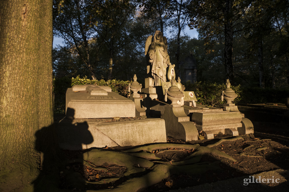 Autumn Fantasy - Cimetière de Robermont - Photo : Gilderic