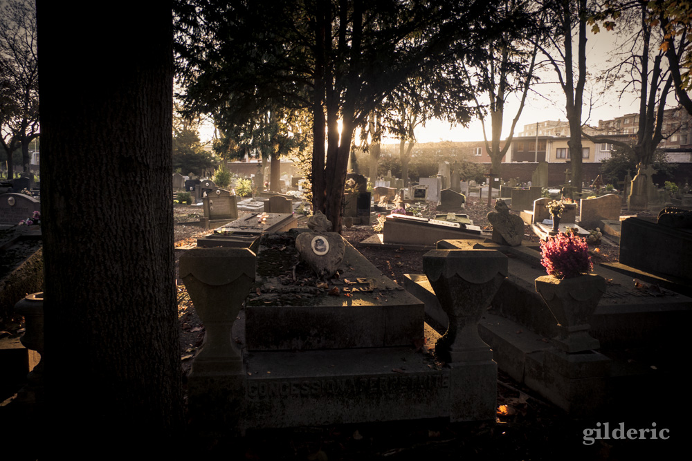 Autumn Fantasy - Cimetière de Robermont - Photo : Gilderic