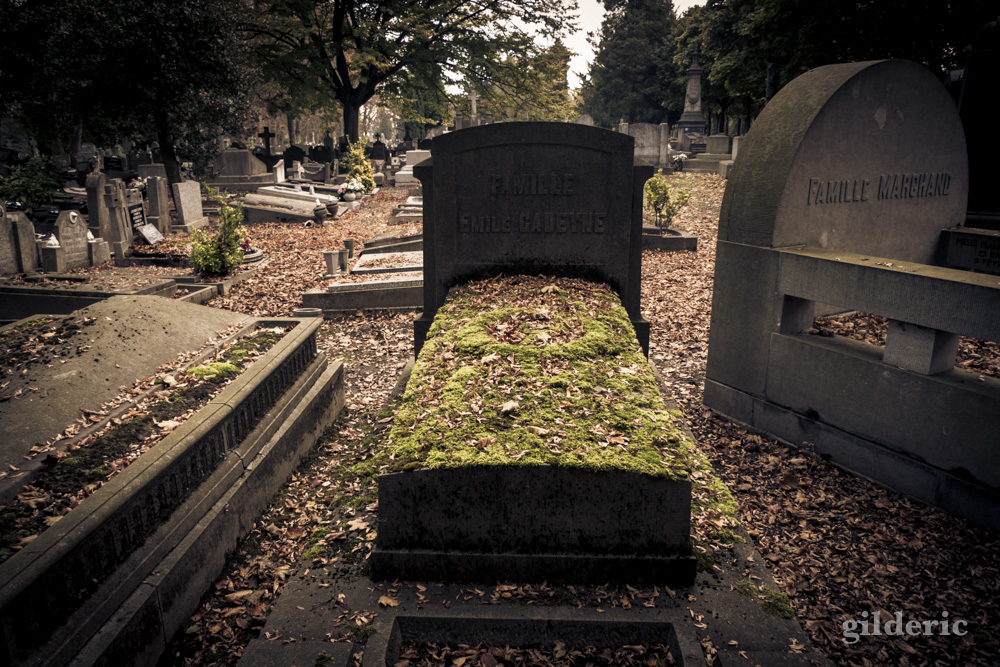 Autumn Fantasy - Cimetière de Robermont - Photo : Gilderic