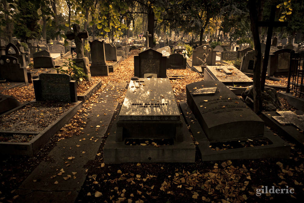 Autumn Fantasy - Cimetière de Robermont - Photo : Gilderic
