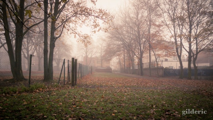Autumn Fantasy :mystère encerclé - Photo : Gilderic