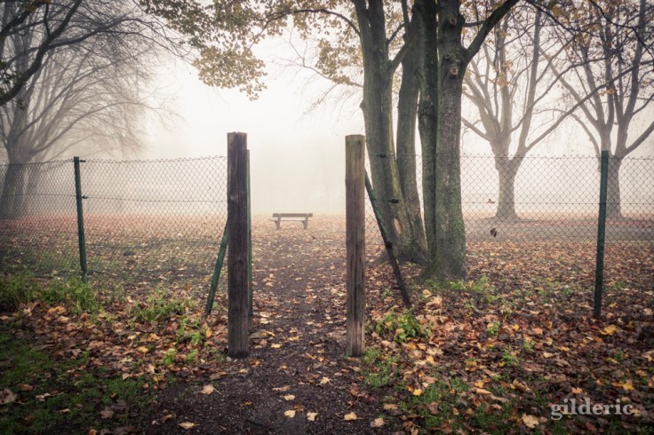 Autumn Fantasy :terrain de jeu - Photo : Gilderic
