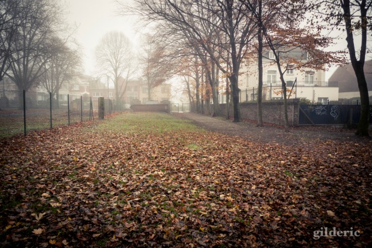 Autumn Fantasy : derrière le portail - Photo : Gilderic