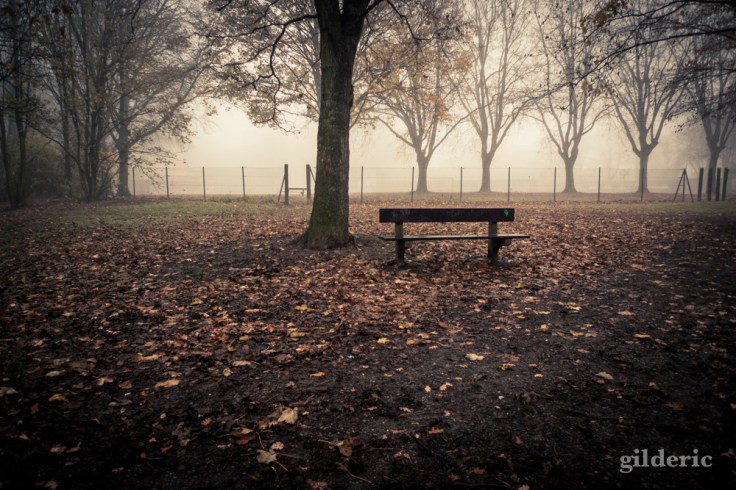 Autumn Fantasy :le banc et les arbres - Photo : Gilderic