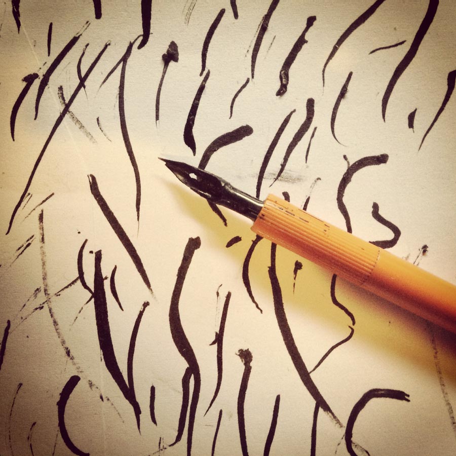 Plume cassée - Photo : Gilderic