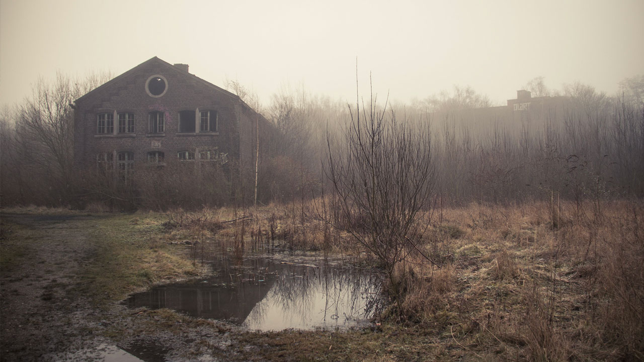 Le Fort de la Chartreuse dans la brume (photos)