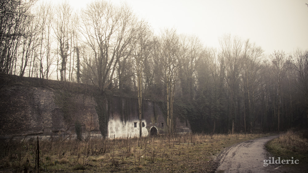 Fort de la chartreuse, Liège, dans la brume - Photo : Gilderic