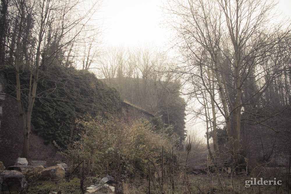 Fort de la chartreuse, Liège, dans la brume - Photo : Gilderic