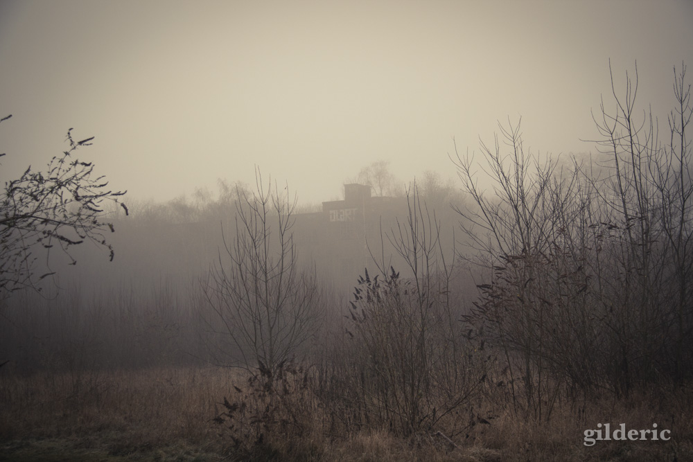 Fort de la chartreuse, brumeux - Photo : Gilderic