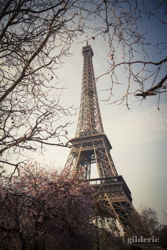 Printemps à Paris : Champs de Mars et Tour EIffel - Photo : Gilderic