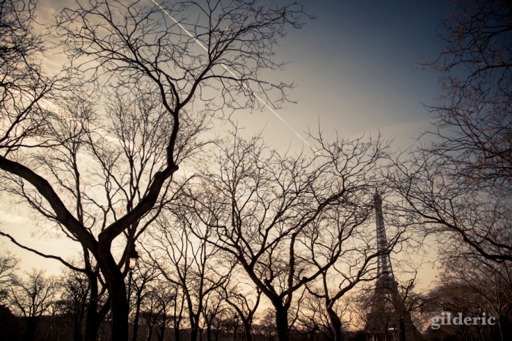 Printemps à Paris : Champs de Mars et Tour EIffel - Photo : Gilderic