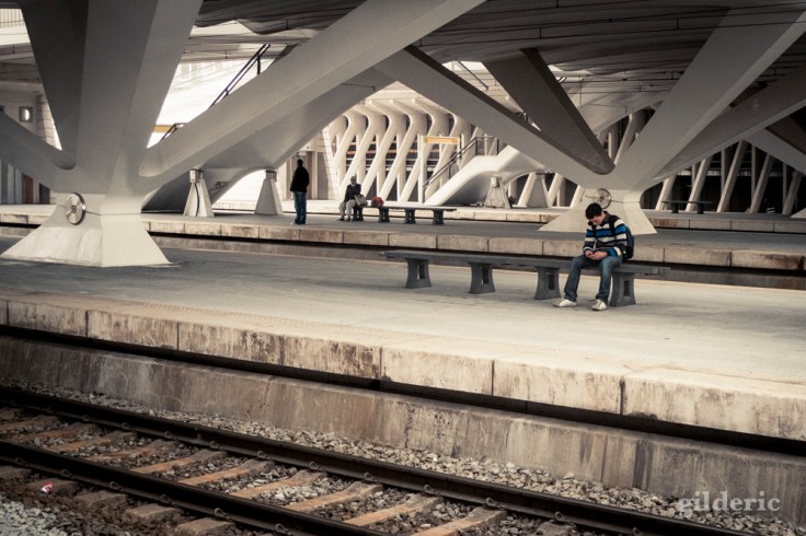 LIège-Guillemins (Belgique) - Photo : Gilderic