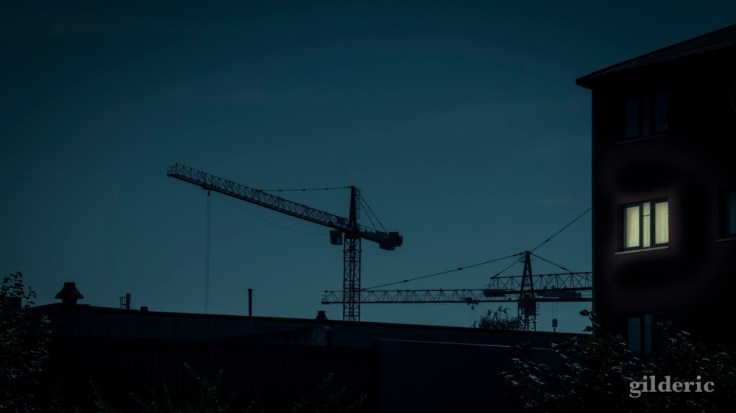 La guerre des grues... (Liège, Belgique) - Photo : Gilderic