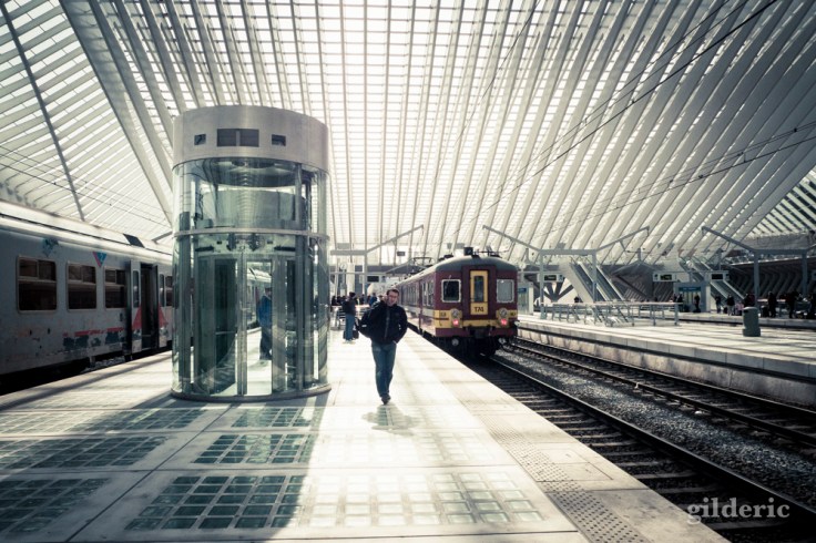 Le retour d'Ulysse (Gare de Liège-Guillemins) - Photo : Gilderic
