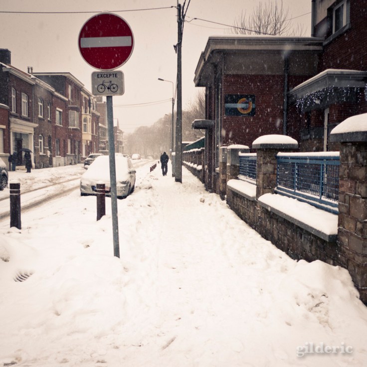 Neige interdite (Grivegnée, Belgique)  - Photo : Gilderic
