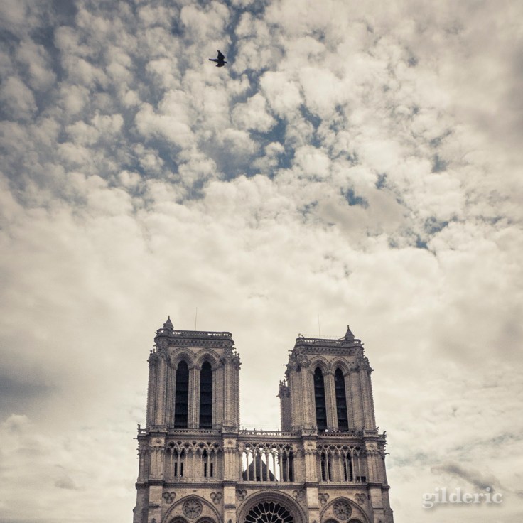 Notre-Dame de Paris - Photo : Gilderic