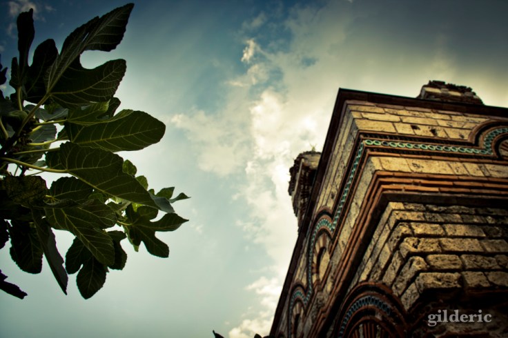 Arbre et architecture byzantine, à Nessebar (Bulgarie)