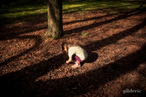 Autumn Fantasy : la petite fille et les marrons