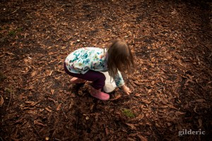 Autumn Fantasy : la petite fille et les marrons