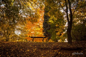 Lumière d'automne - Domaine de la Chartreuse (Liège) - Photo : Gilderic