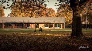 Lumière d'automne - Domaine de la Chartreuse (Liège) - Photo : Gilderic