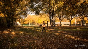 Lumière d'automne - Domaine de la Chartreuse (Liège) - Photo : Gilderic