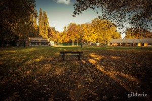 Lumière d'automne - Domaine de la Chartreuse (Liège) - Photo : Gilderic