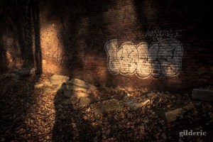 Domaine de la Chartreuse (en automne) -Photo : Gilderic