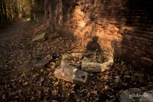 Domaine de la Chartreuse (en automne) -Photo : Gilderic