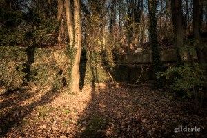 Domaine de la Chartreuse (en automne) -Photo : Gilderic