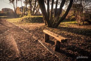 Domaine de la Chartreuse (en automne) -Photo : Gilderic