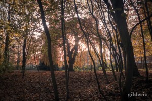 Domaine de la Chartreuse (en automne) -Photo : Gilderic