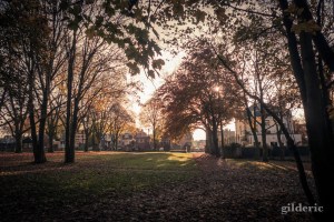 Domaine de la Chartreuse (en automne) -Photo : Gilderic