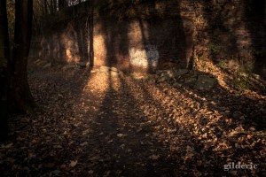 Domaine de la Chartreuse (en automne) -Photo : Gilderic