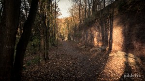 Domaine de la Chartreuse (en automne) -Photo : Gilderic