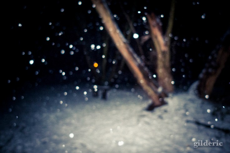 Photographier la neige (la nuit) - Photo : Gilderic