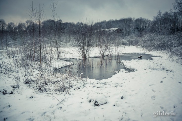 Photographier la neige (laChartreuse, Liège) - Photo : Gilderic